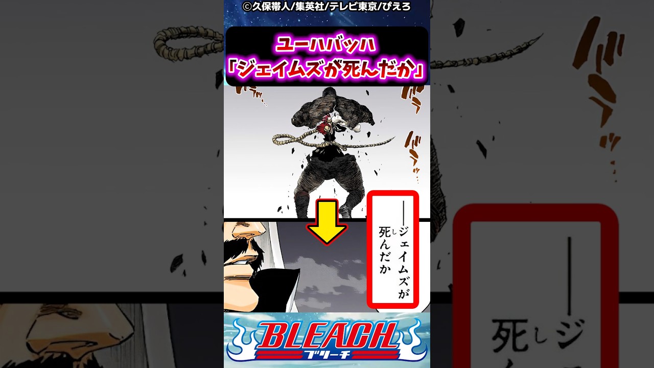 予約]BLEACH B3布ポスター グリムジョー·ジャガージャック | は行