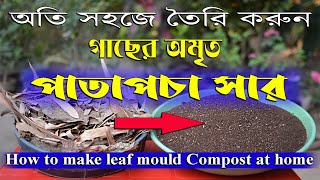 অতি সহজে তৈরি করুন পাতাপচা সার ! How to make leaf mould compost at home!