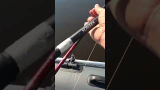 #крупныйокунь #летняярыбалка #окуньнаспиннинг #окуньнаблесну #perchfishing #daiwa #окунь #fishing