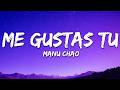 Manu Chao - Me Gustas Tu (Lyrics)