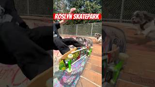 Roslyn skatepark