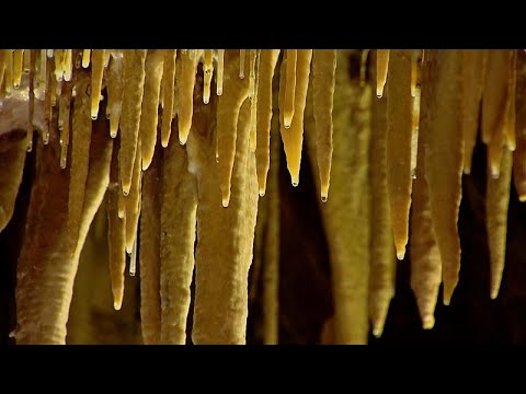 160 million years old cave visit