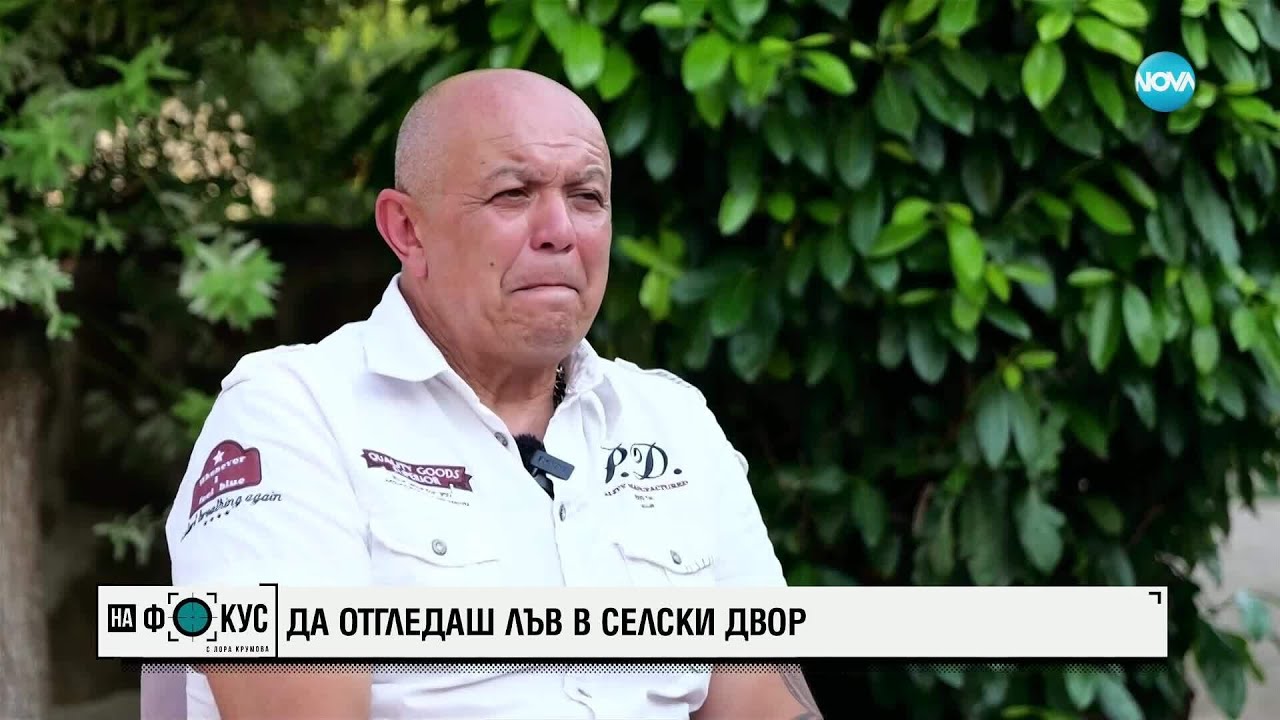 Историята на лъвицата Симба: Да отгледаш дива котка в селски двор