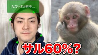 100%当たる！？動物顔診断が正確すぎる！！