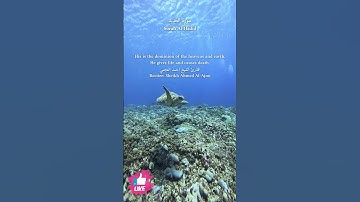 له ملك السماوات والأرض يحيي ويميت وهو على كل شيء قدير | سورة الحديد #دعاء_ورسالة Surah Al-Hadid