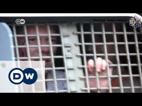 Video: In Jakutien Werden Gefangene Von Klonhunden Bewacht - Alternative Ansicht