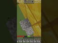 #minecraft gravelclutch
