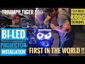 Worlds first triumph tiger 800 with biled projectors  installation  ridingdemons hid