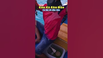 Cá Mú Đỏ câu cá Côn Đảo | CHÍN MƯƠI TƯ #shorts