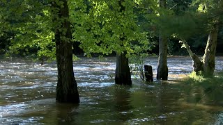 Heavy rains cause flooding in central Wisconsin