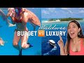 MALDIVES under a Budget or in Luxury? Swimming with sharks, room tour, Indian food etc! I'm blown 🤩