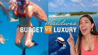 MALDIVES under a Budget or in Luxury? Swimming with sharks, room tour, Indian food etc! I