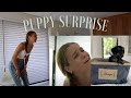 CUTEST PUPPY SURPRISE *SHE CRIED*