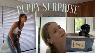 CUTEST PUPPY SURPRISE *SHE CRIED*