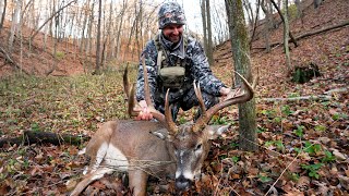 201" Illinois Giant! Biggest Frame Deer I've Ever Seen
