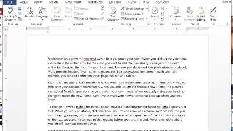 Microsoft Word - Disable Spell Check