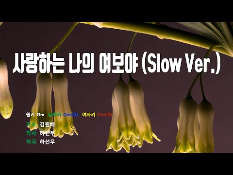 [은성 반주기] 사랑하는나의여보야(Slow Ver.) - 김원배