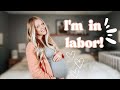 If You&#39;re Watching This I&#39;m in LABOR!! | Heather Danielle