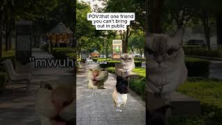 That One Friend in Public Explained by Cats #cats #funny #funnyshorts #memes #friends