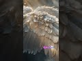 🤍🩵ARCHANGEL HANIEL ENERGY CLEARING | 852 Hz🩵🤍