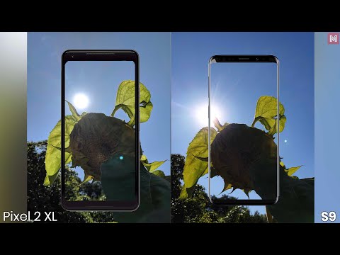 Google Pixel 2 XL vs. Samsung Galaxy S9 Camera Comparison [4K]