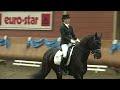 Dressurreiten lernen: Richtige Hilfen beim Reiten - die ganze Parade