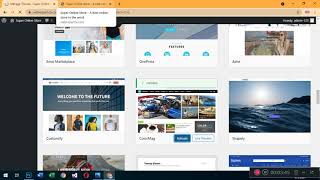 How to change the theme of a website in WordPress