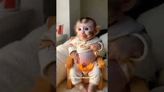 Bandar Cartoon Video Trending Reels