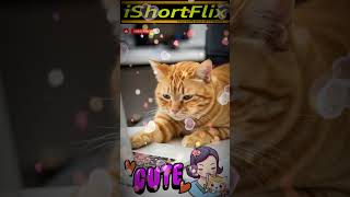 Tired Of Work - Fish Fillet Please I