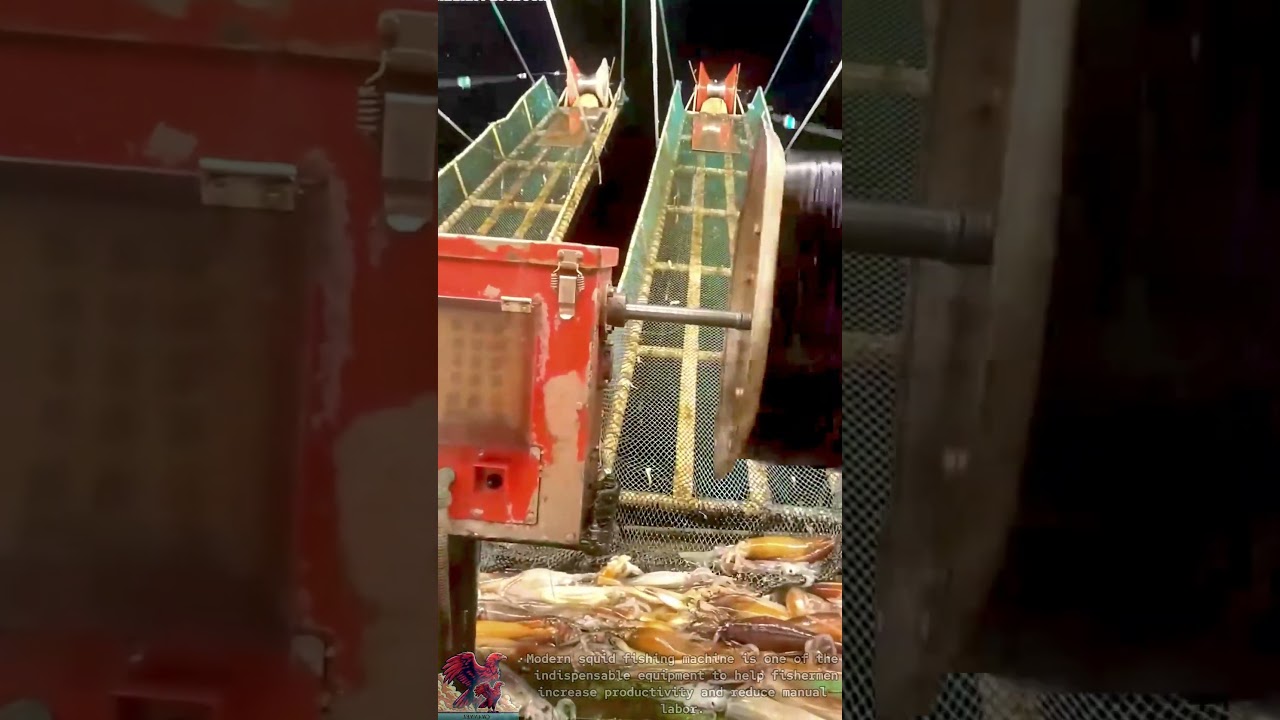Modern high productivity squid fishing machine
