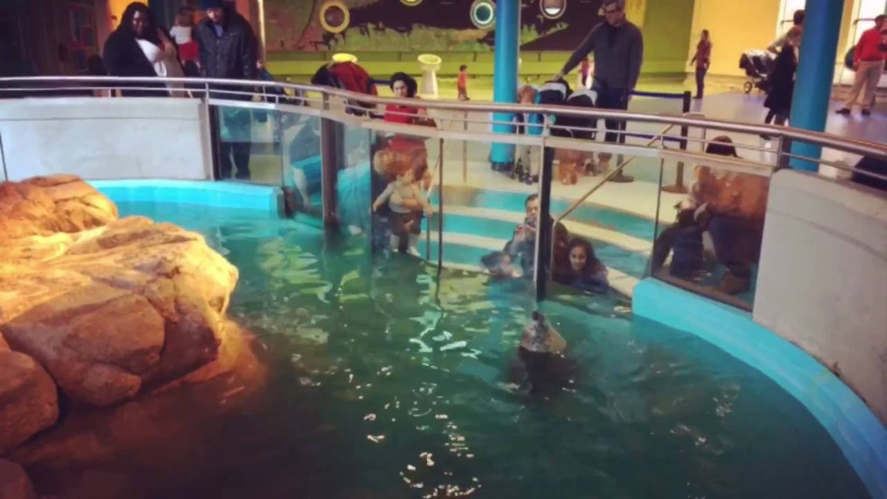 Having fun with Eli at The Maritime Aquarium, Norwalk, CT YouTube