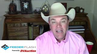 Feeder Flash 1/25:  Red Bluff