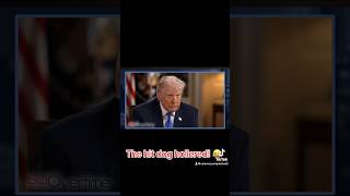 Felon 47 aka Donald Trump knows the truth! He just refuses to admit to it! Love Jimmy Kimmel!