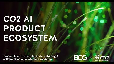 CO2 AI Product Ecosystem