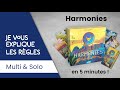 Je vous explique les rgles du jeu harmonies en moins de 5 minutes