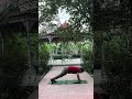 Day 117 | Surya Namaskar 🌞 | Yoga With Sanjay | Strength Through Consistency | Road to 180
