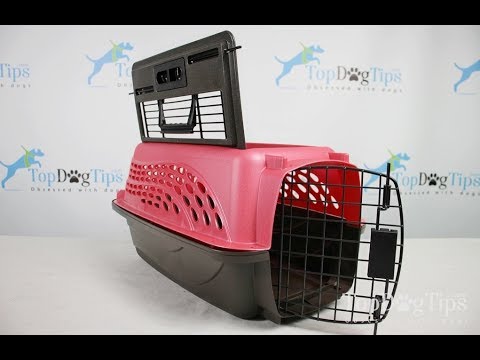 two door pet carrier