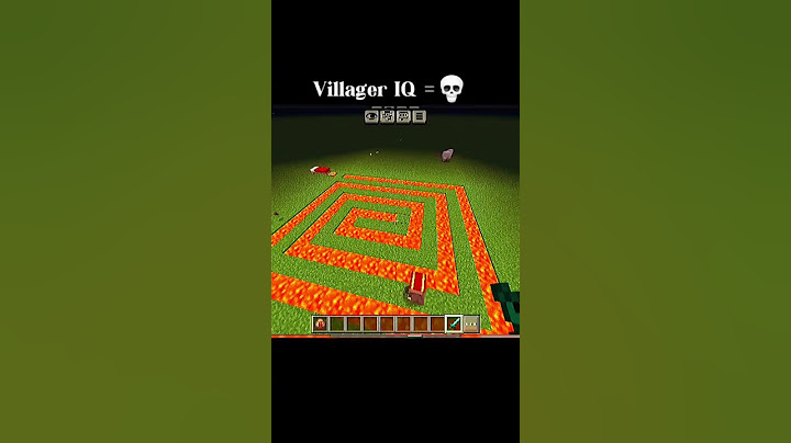 Villager IQ=☠️
