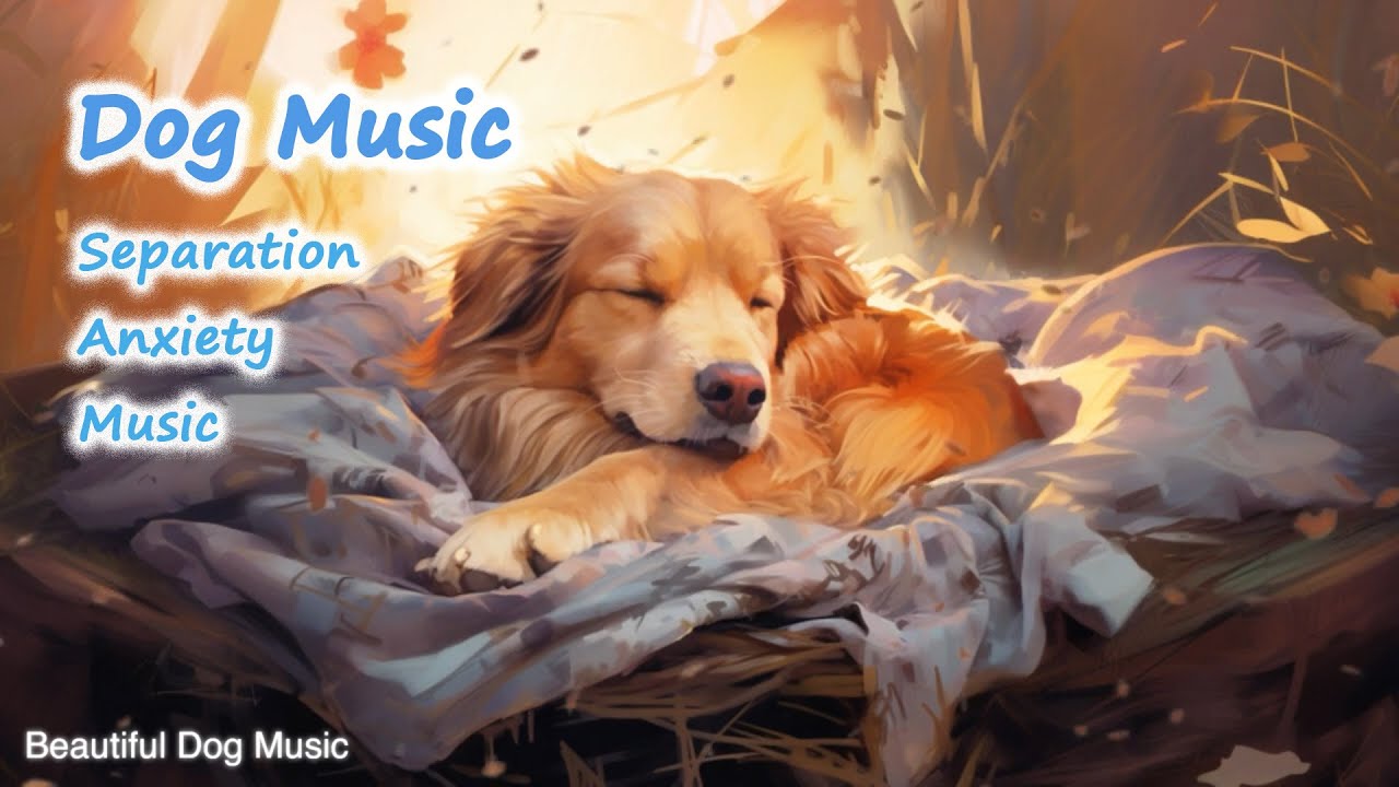 Help your Puppy go to Sleep at Night, with this 3 HOUR Song! Relax My