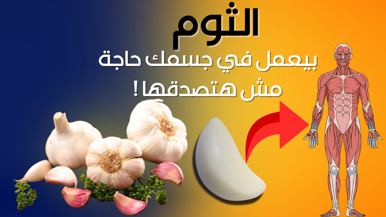 الثوم وقوته الخارقة: إيه اللي بيحصل في جسمك بعد ما تاكل ثوم؟! 🤔 🧄
