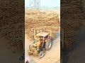 موسم كسر القصب بدا Funny Comedy Comedymovies 
