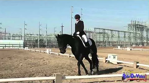 133D Vickie Morse SR Beginner Novice Dressage Ram ...