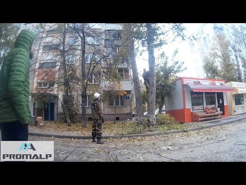 Кронирование деревьев и кустарников