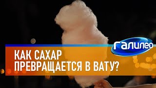 Галилео 🍬 Как сахар превращается в вату?