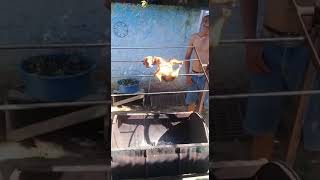 Brasileiro E Outro Nível