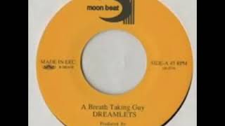 Dreamlets - Breath taking Guy.