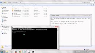 How to delete Single file and all the files from folder using Windows DOS command