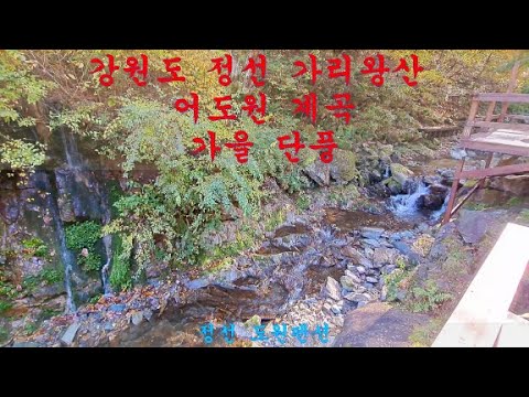 강원도 정선 가리왕산 어도원 계곡 가을 단풍 l 정선펜션 – 정선 도원펜션