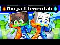 GIORGIO e ZEYXON sono DIVENTATI dei BABY NINJA ELEMENTALI in Minecraft