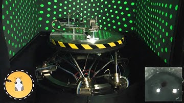 Prof. Dr. Chris de Zeeuw about the mechanisms underlying cerebellum motor learning